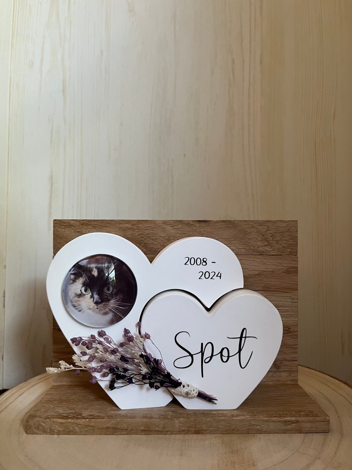 Herz mit Foto "Katze" und Klötzchenwand